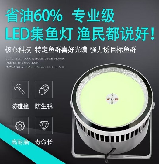 广州集鱼灯